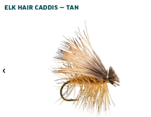 RIO Dry Fly Assortment Caddis Tan RIO Dry Fly Assortment Caddis Tan